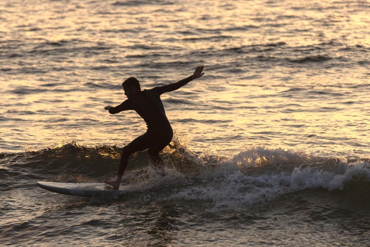 Village Vacances La Foret Des Landes Tarnos Kültér fotó