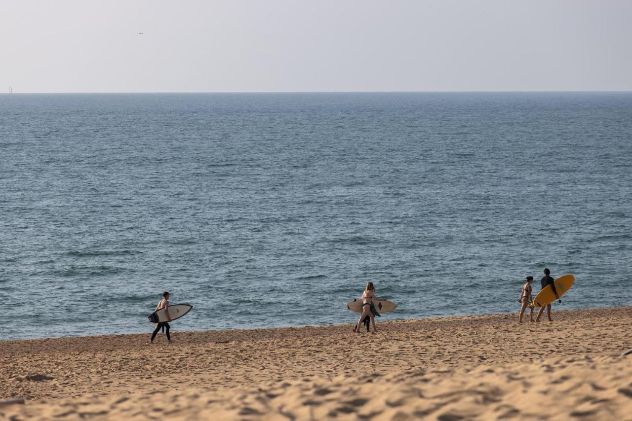 Village Vacances La Foret Des Landes Tarnos Kültér fotó