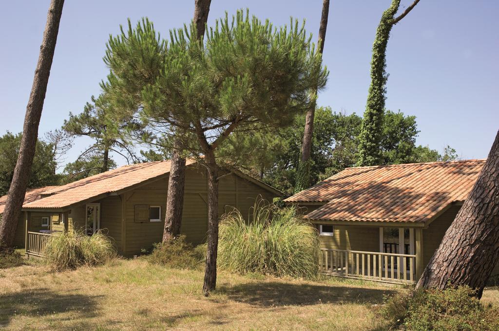 Village Vacances La Foret Des Landes Tarnos Kültér fotó