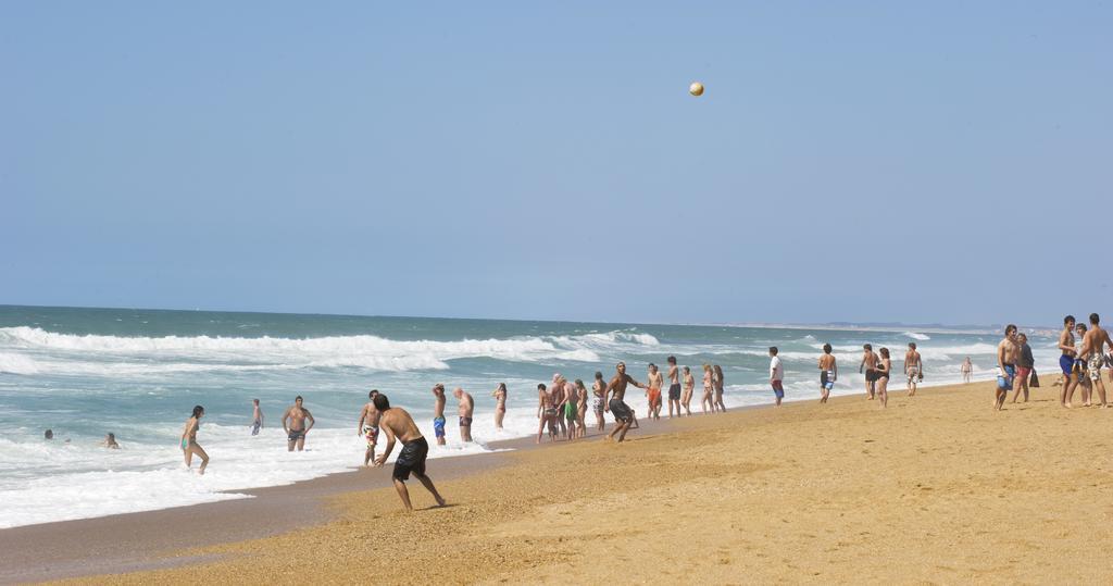 Village Vacances La Foret Des Landes Tarnos Kültér fotó