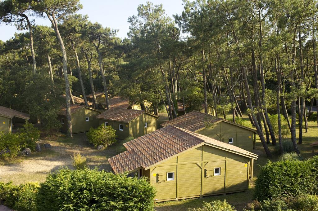 Village Vacances La Foret Des Landes Tarnos Kültér fotó